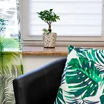 Bv Black And White Apartment *
